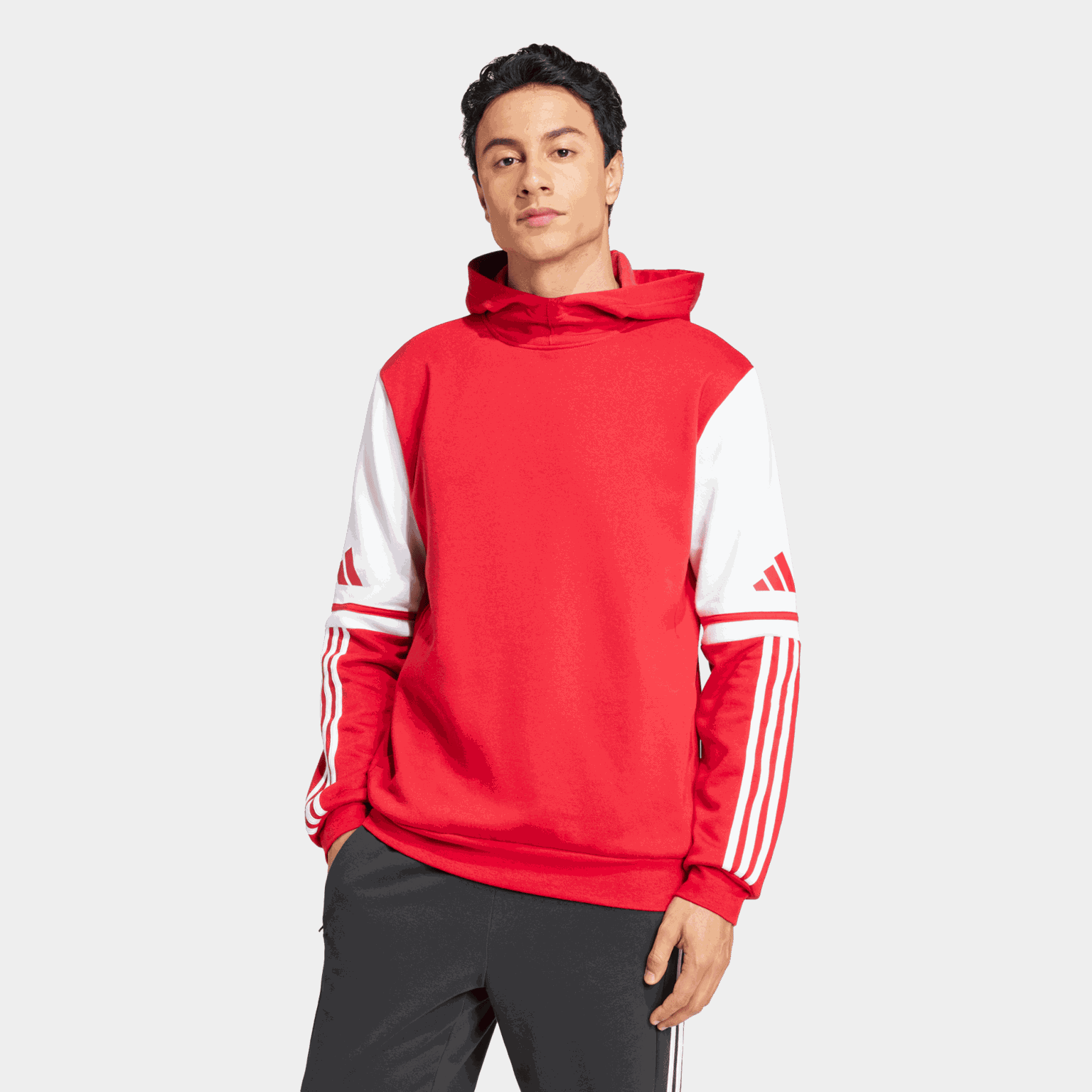 Squadra 25 Sweat Hoody, treningsgenser, herre - full image 1