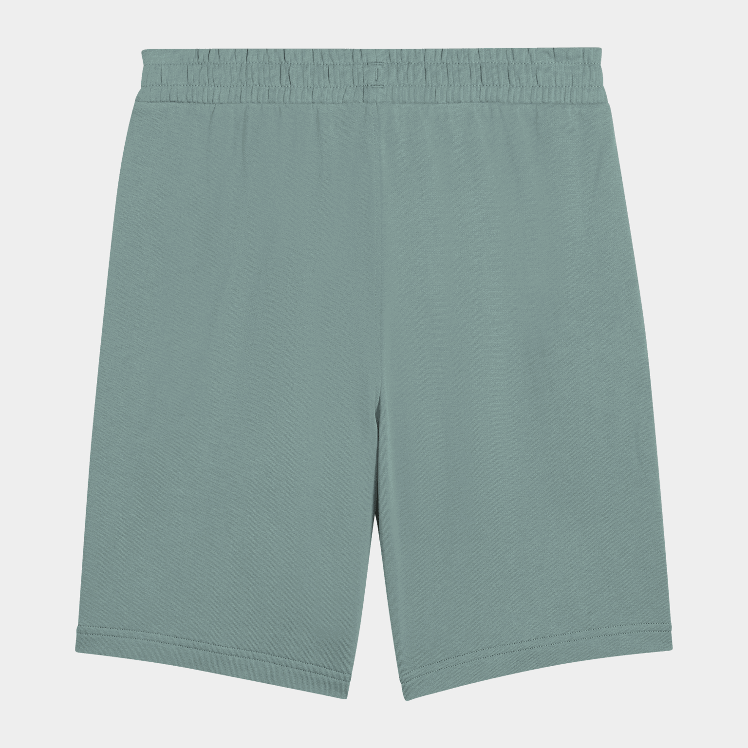 ESS ELEVATED Shorts 9" TR - full image 4
