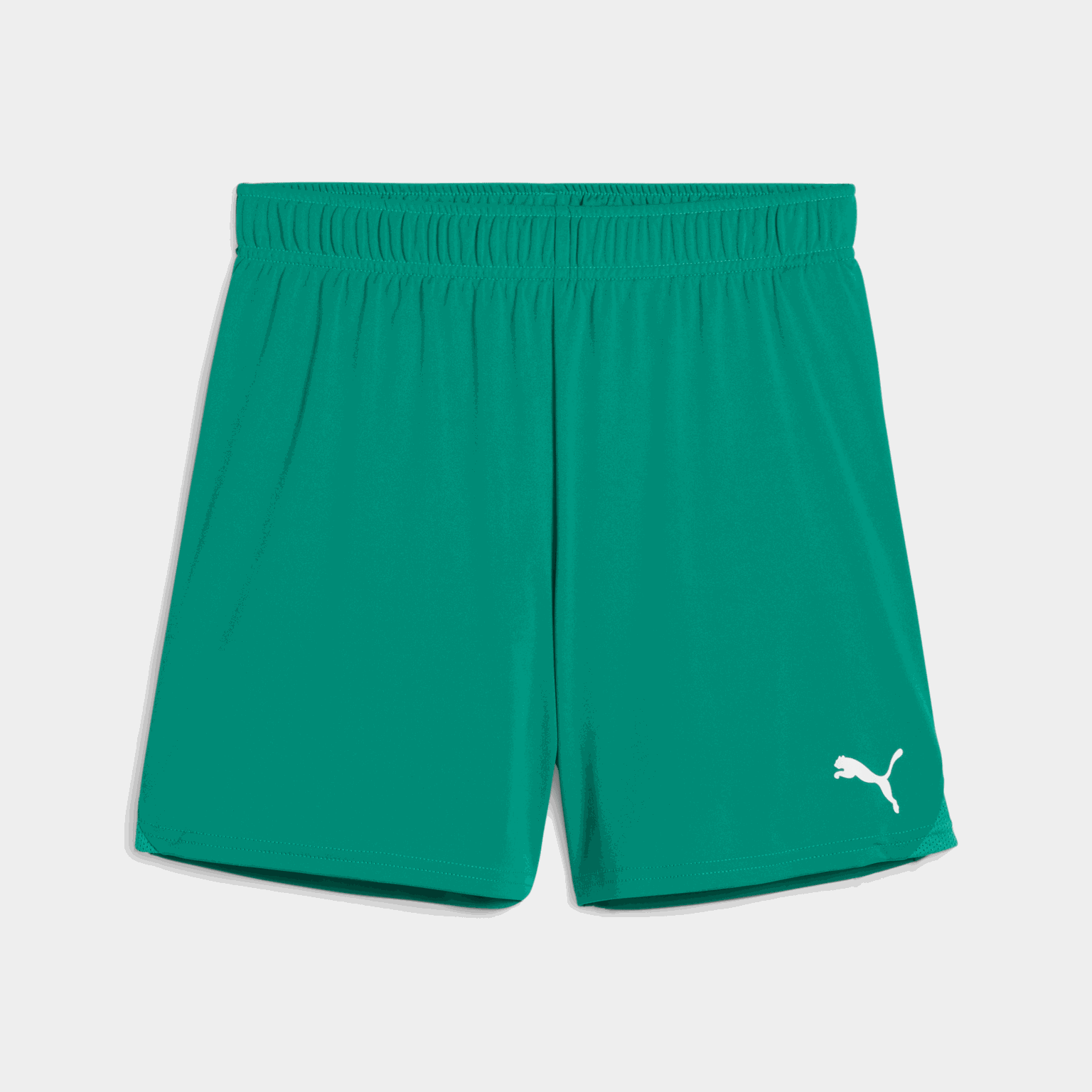 teamGOAL Shorts, treningsshorts, dame - full image 1