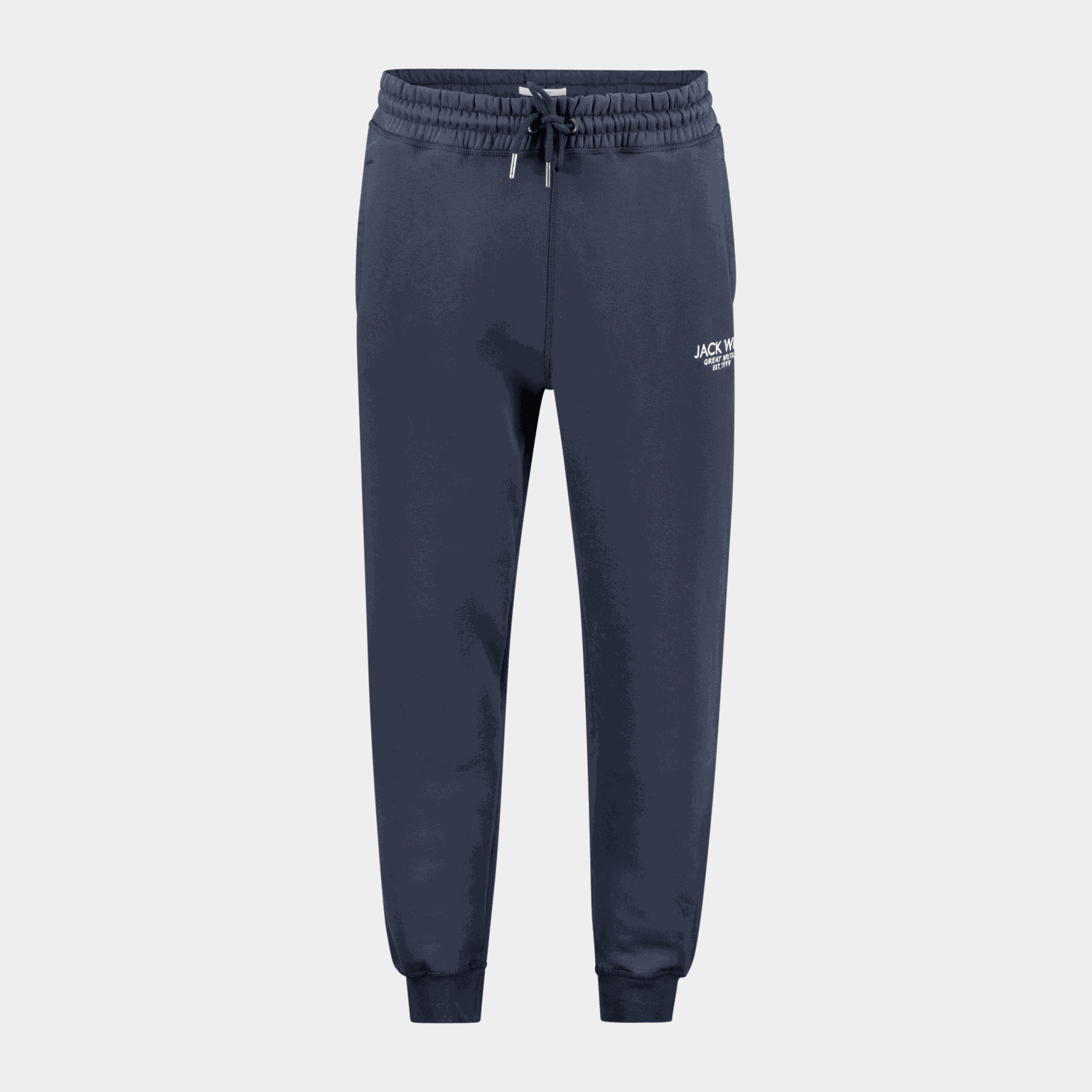Haydor Logo Jogger, joggebukse, herre - full image 1