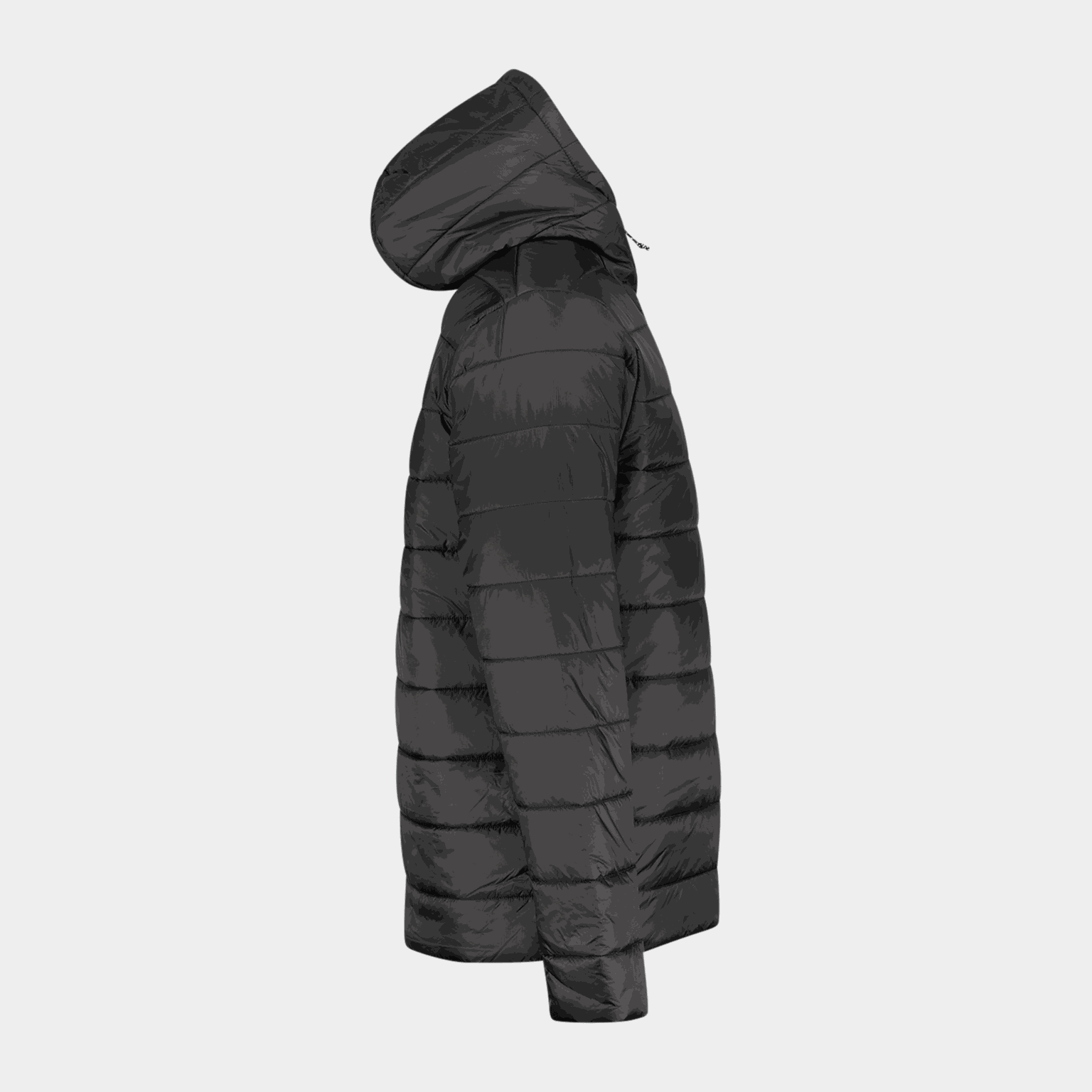 Terrex Multi Essentials Climawarm Insulated Hooded Jacket, isolasjonsjakke - full image 2