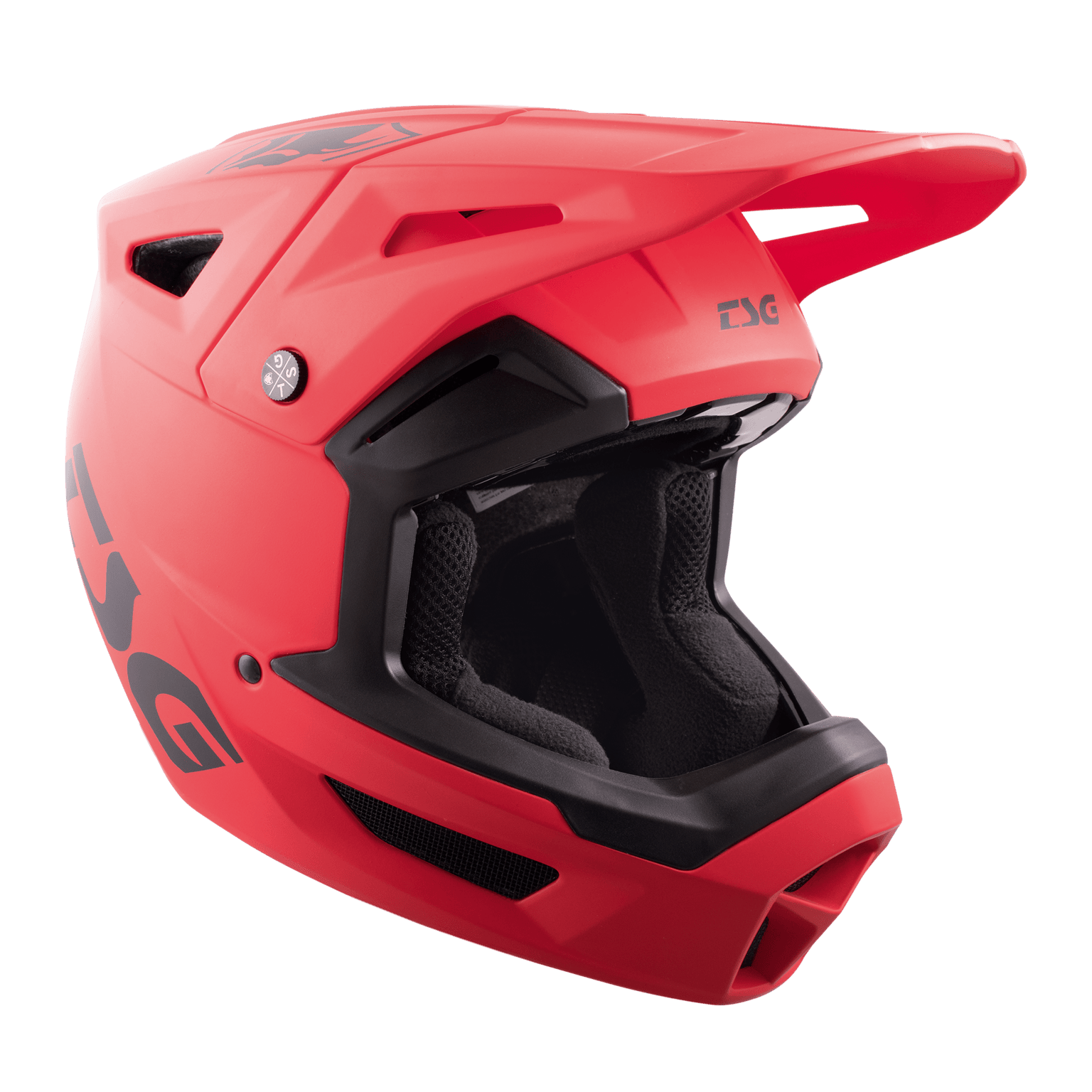 TSG Sentinel Solid Color Full-Face Helmet, Downhill-hjelm, helhjelm, unisex