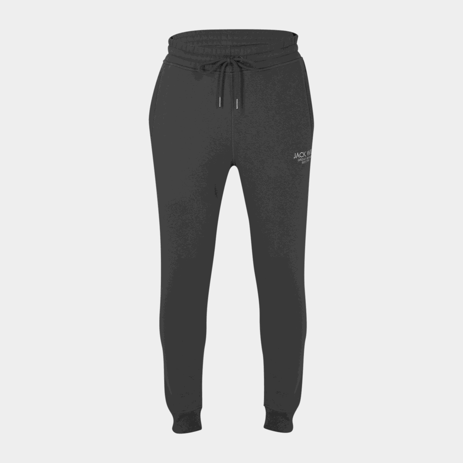 Haydor Logo Jogger, joggebukse, herre - full image 3