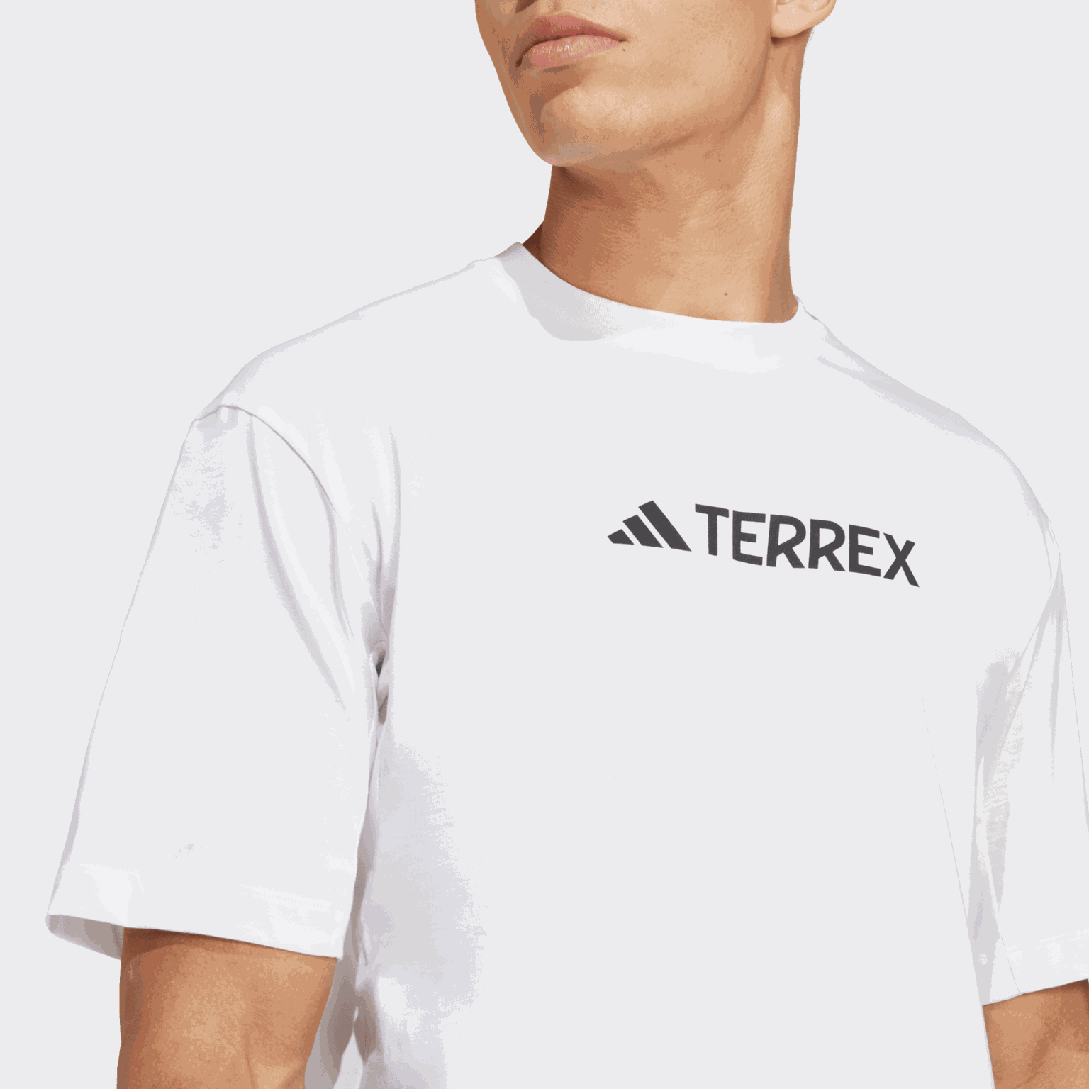 Terrex Classic Logo T-Shirt, t-skjorte, herre - full image 4