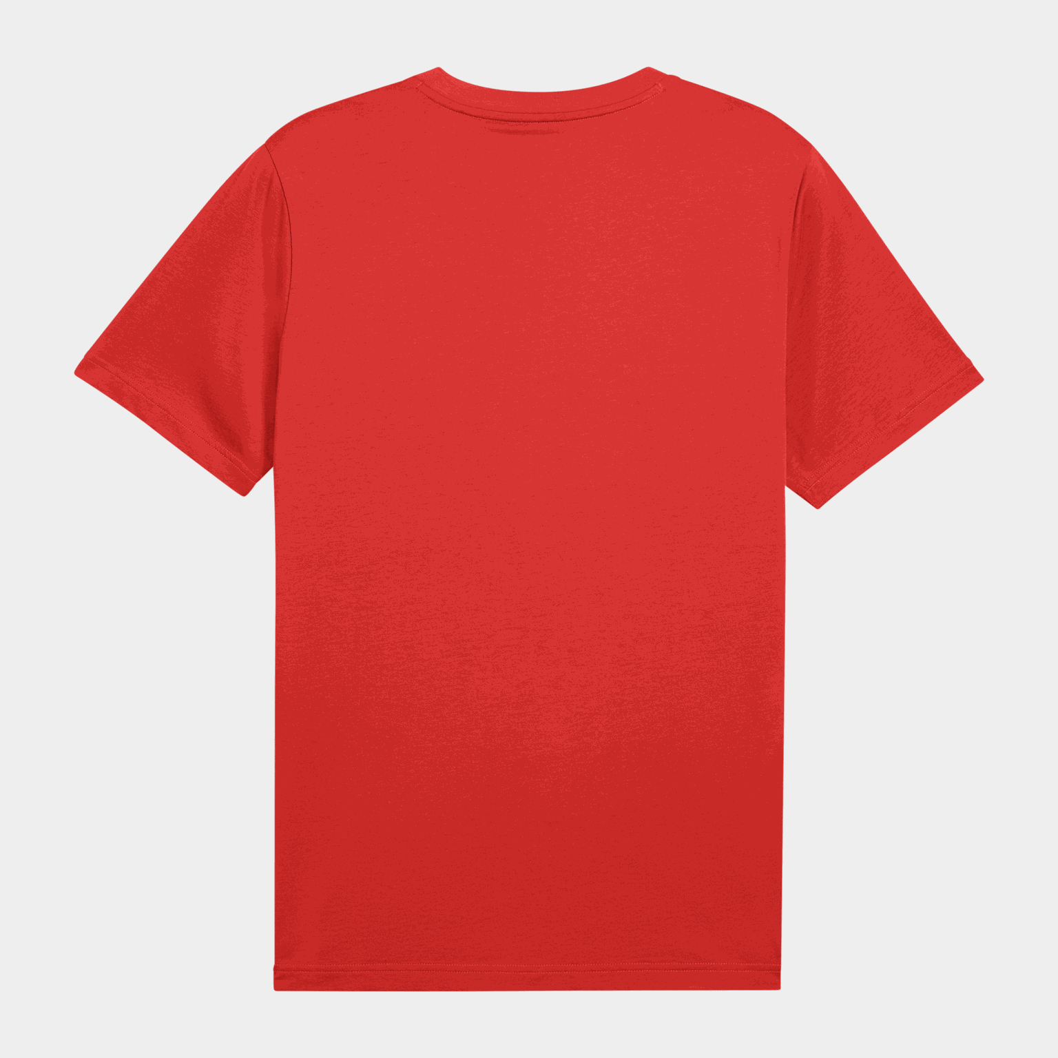 ESS LOGO LAB Tee, t-skjorte, herre - full image 4