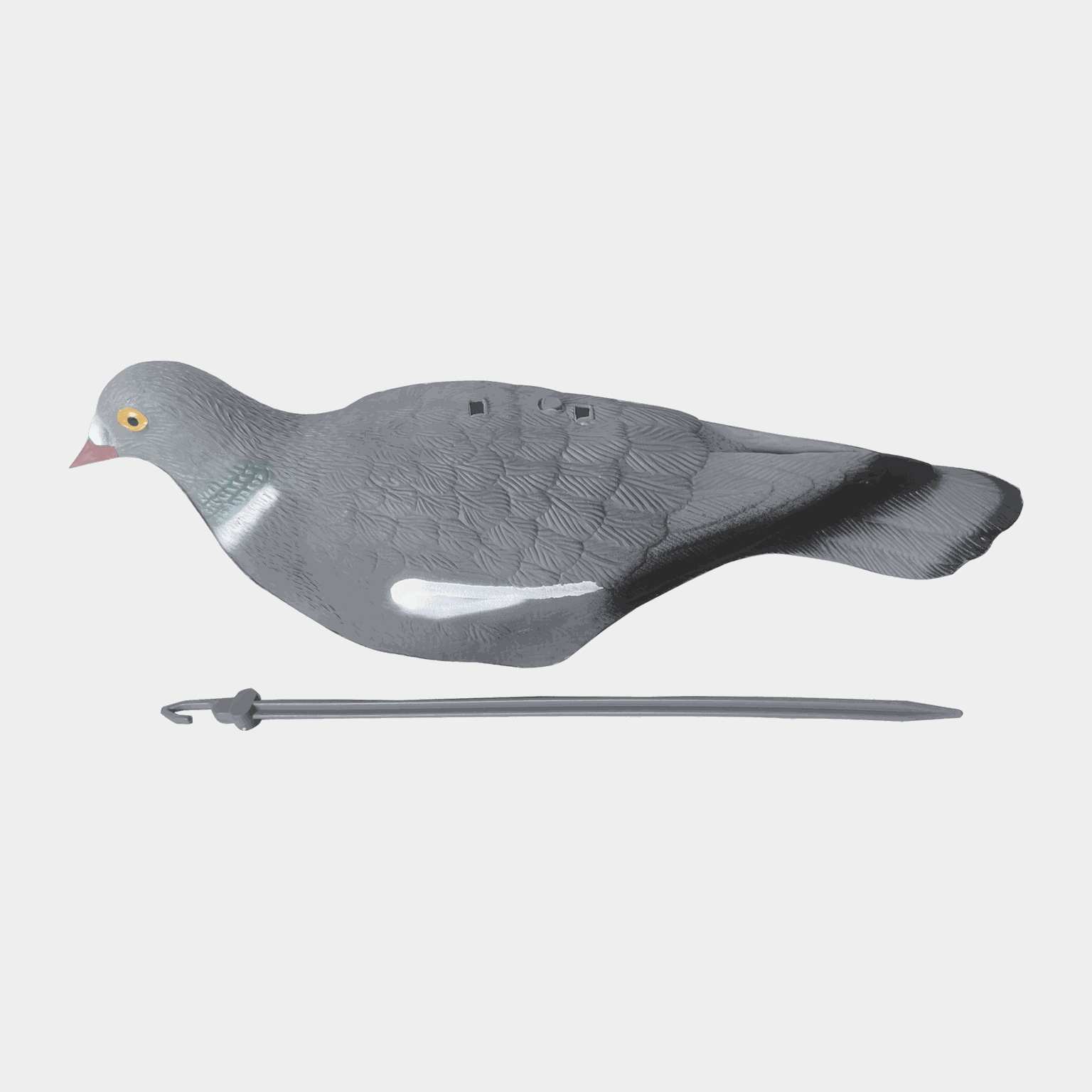 Pigeon Shell, lokkefugl, ringdue - full image 4