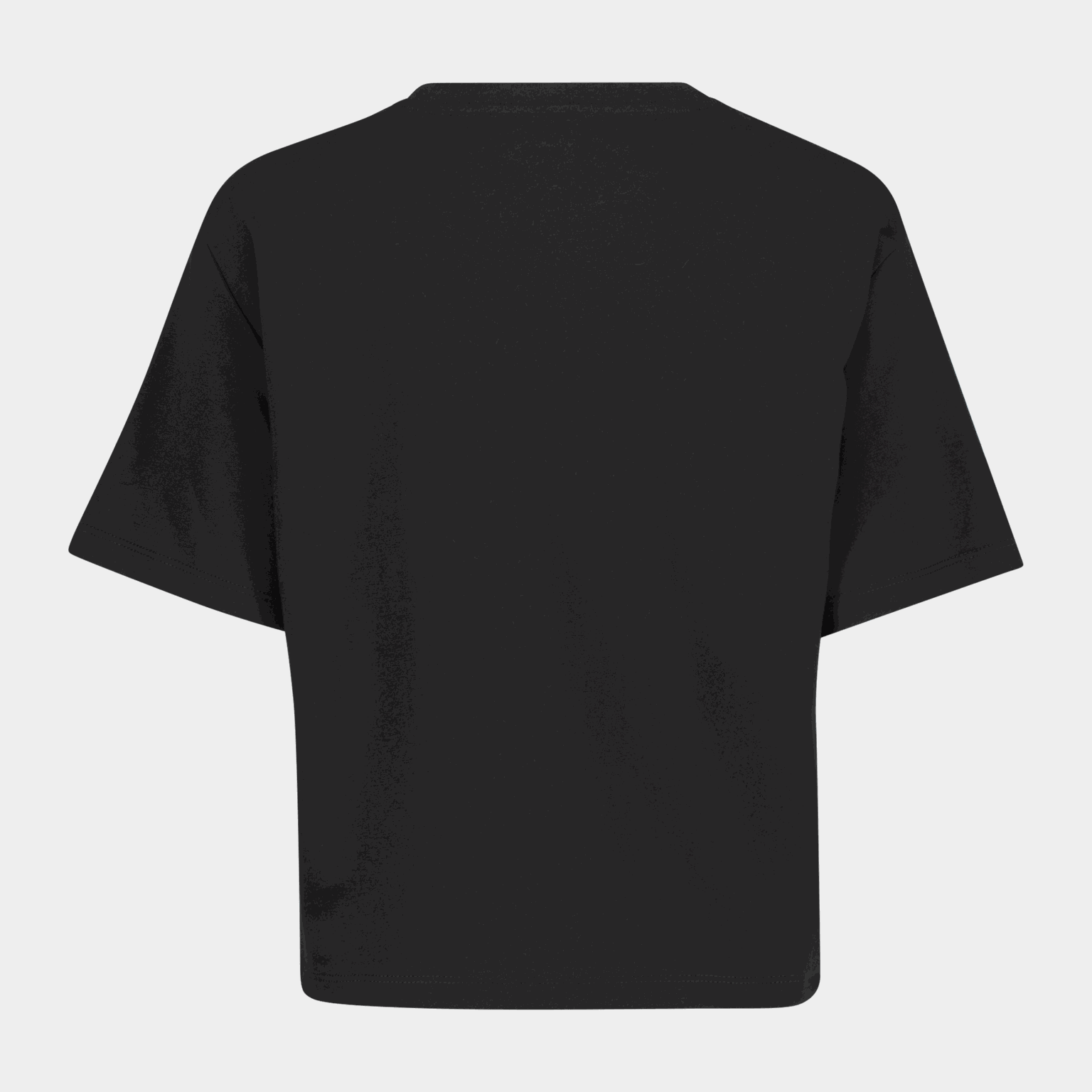 TNF Crop Simple Dome, t-skjorte, dame - full image 2