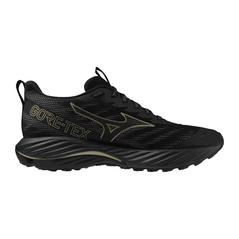 Mizuno Wave Rider Gore Tex 2 herre