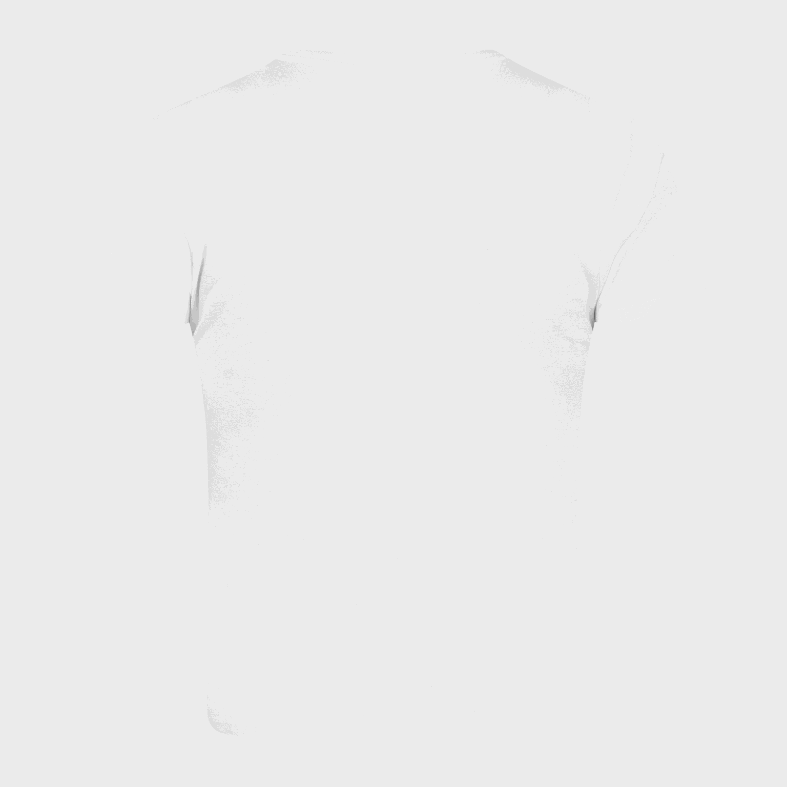 Baby Tee, t-skjorte, dame - full image 4