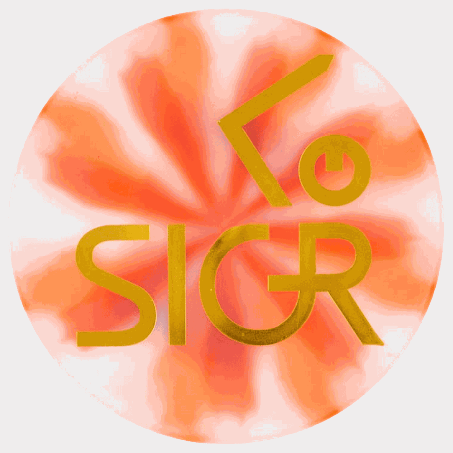 SIGR Flex mini - full image 4