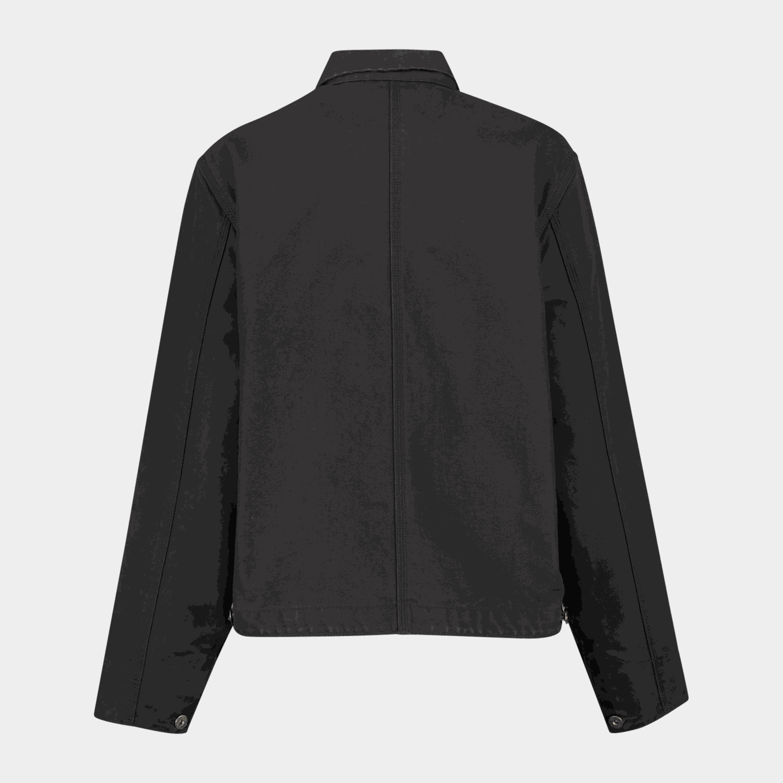 Cedar Canvas Work Jacket, jakke, dame - full image 2