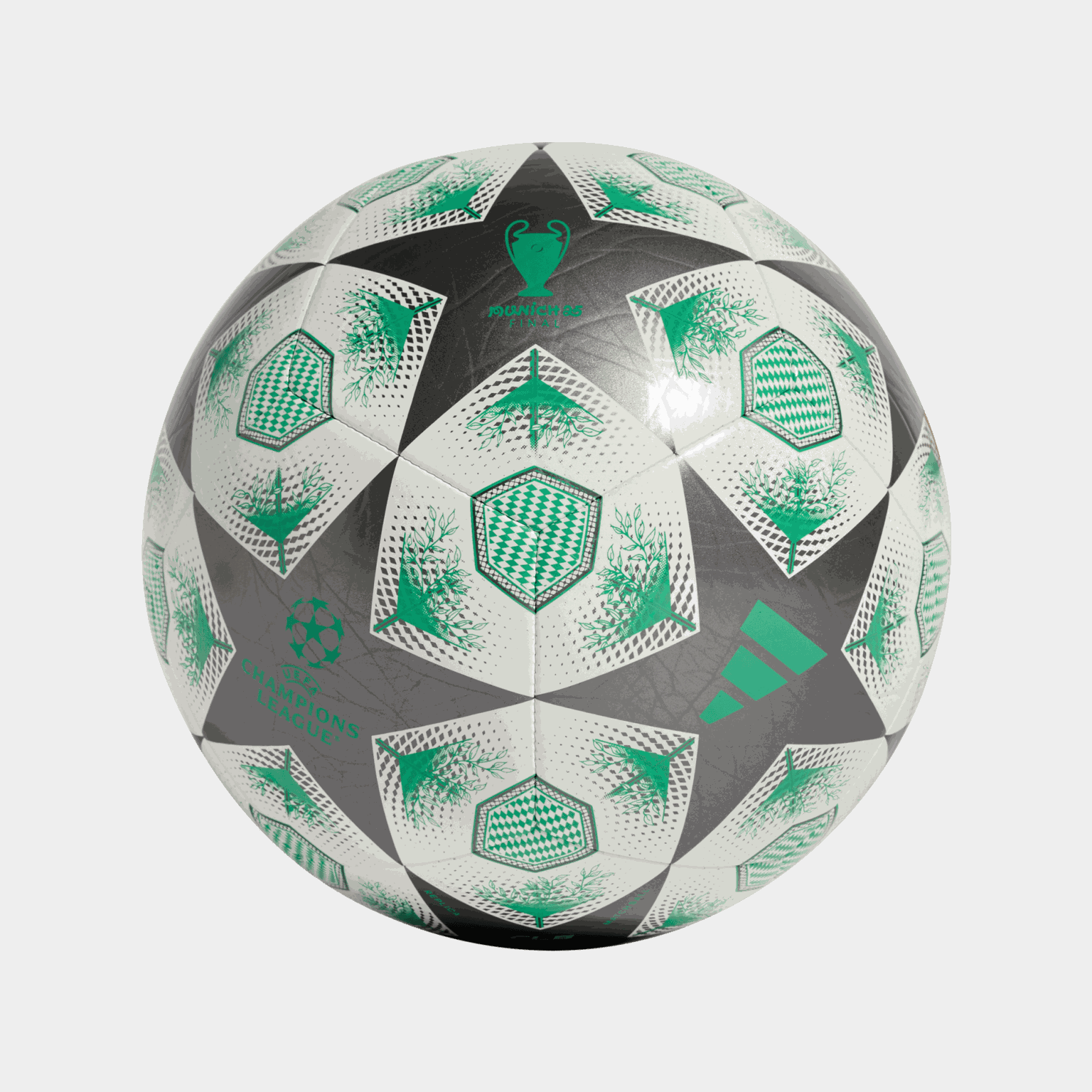 Glider Finale Football, fotball - full image 2