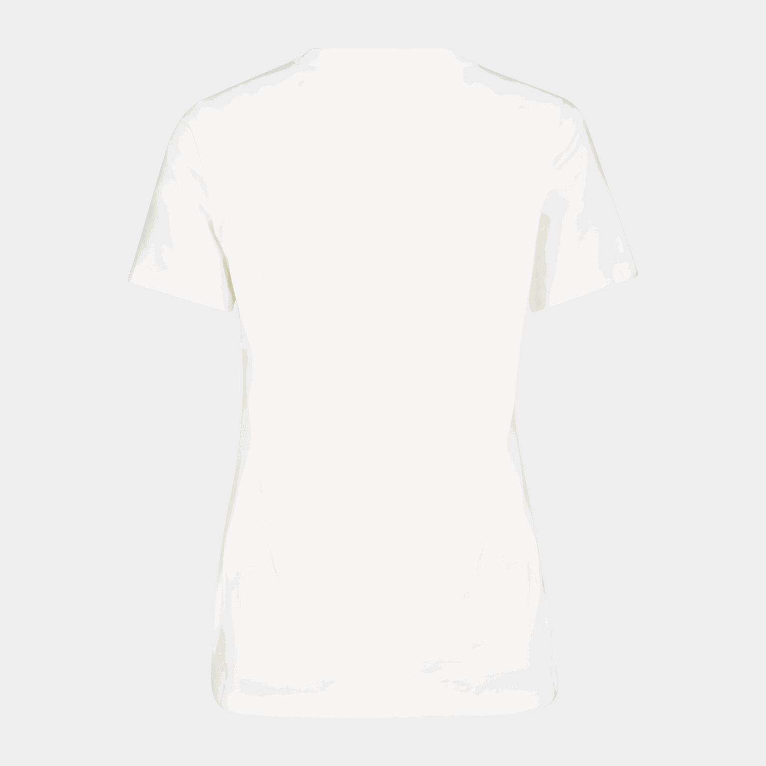 TNF New SimpleDome, t-skjorte, dame - full image 2