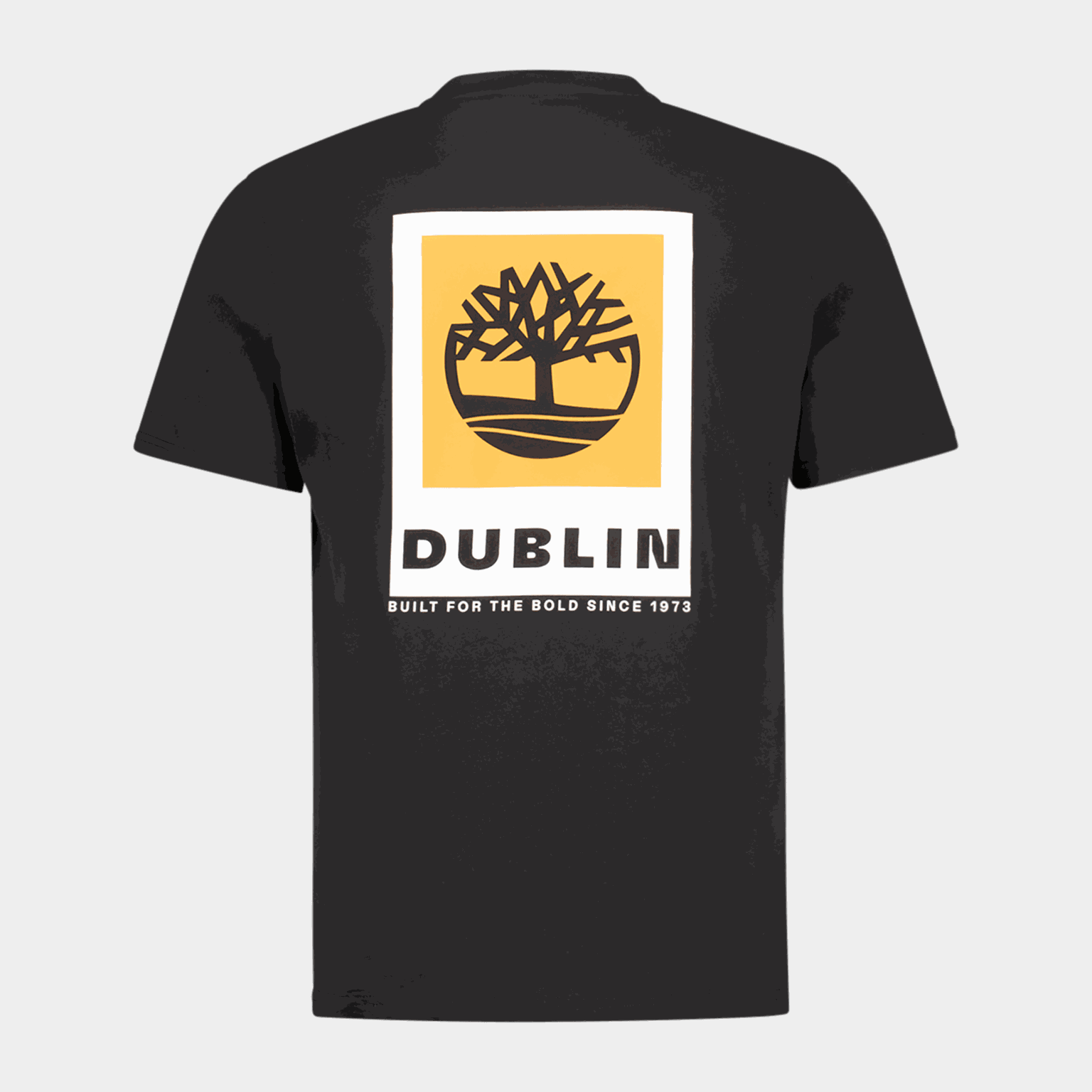 Dublin City Tee, t-skjorte, unisex - full image 2