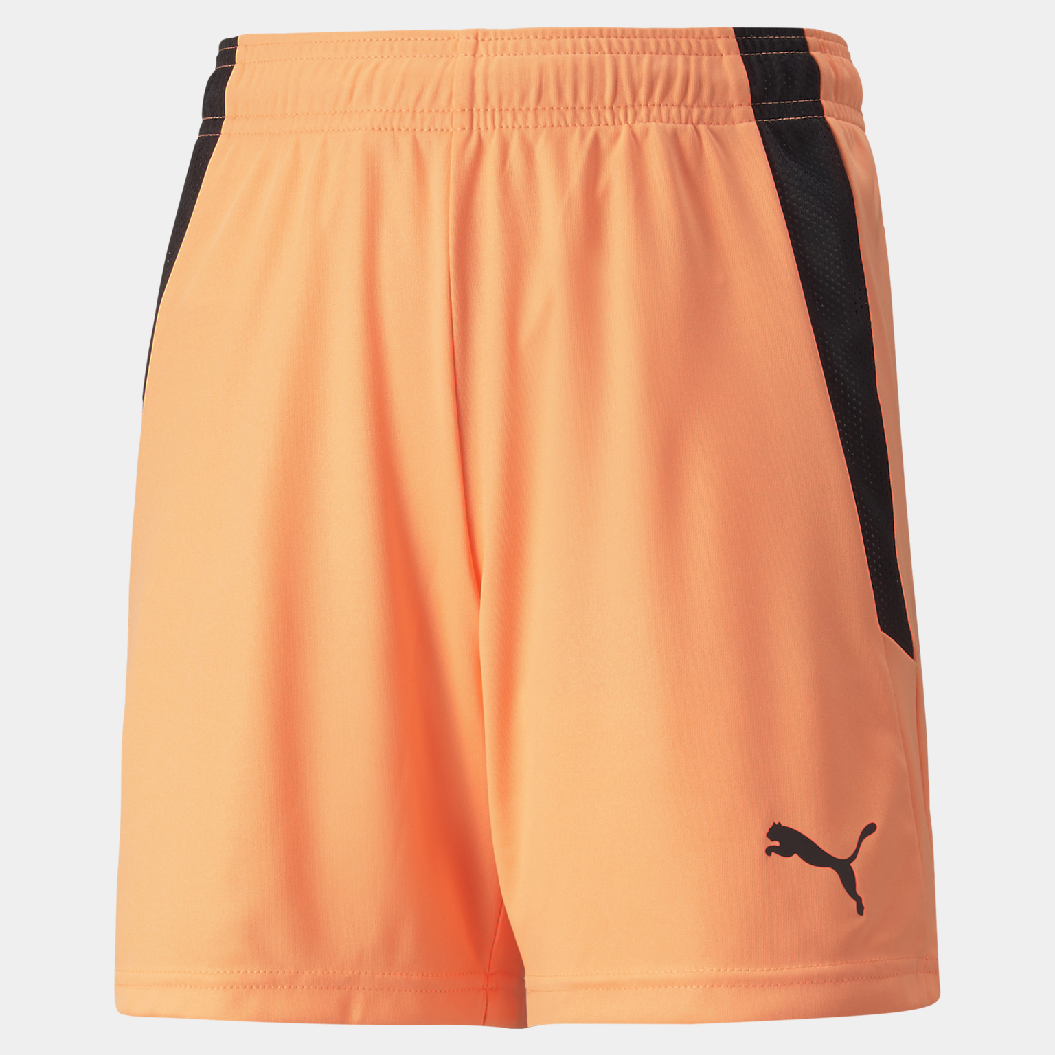 teamLIGA Shorts treningsshorts - full image 1