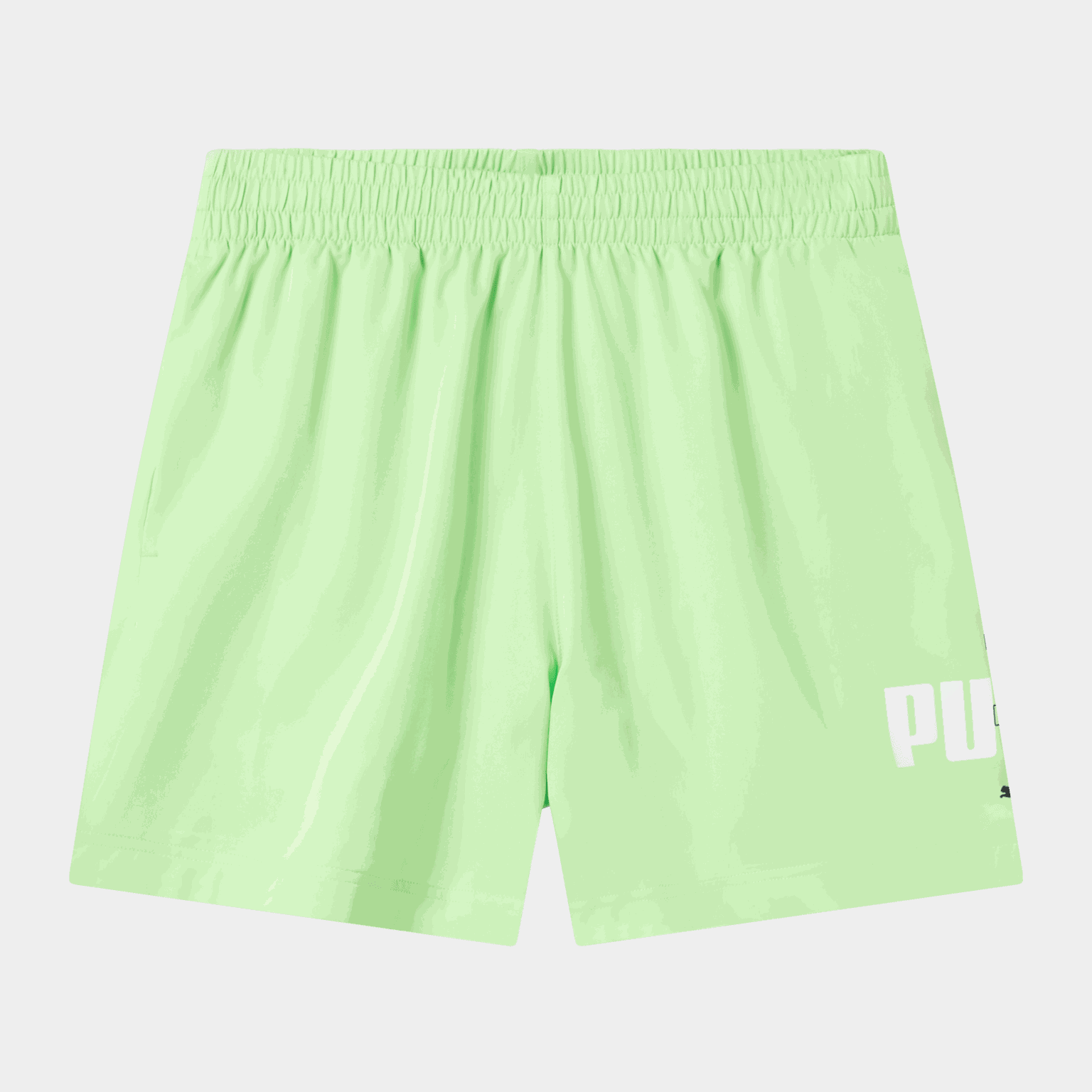 ESS LOGO LAB Woven Shorts 5, fritidsshorts, herre - full image 1