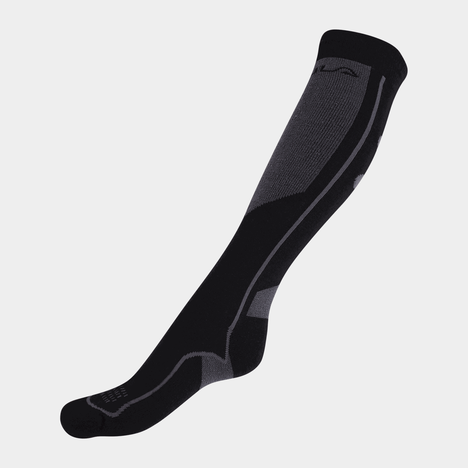 Alpine Sock Park 25/26, skisokker, herre - full image 1