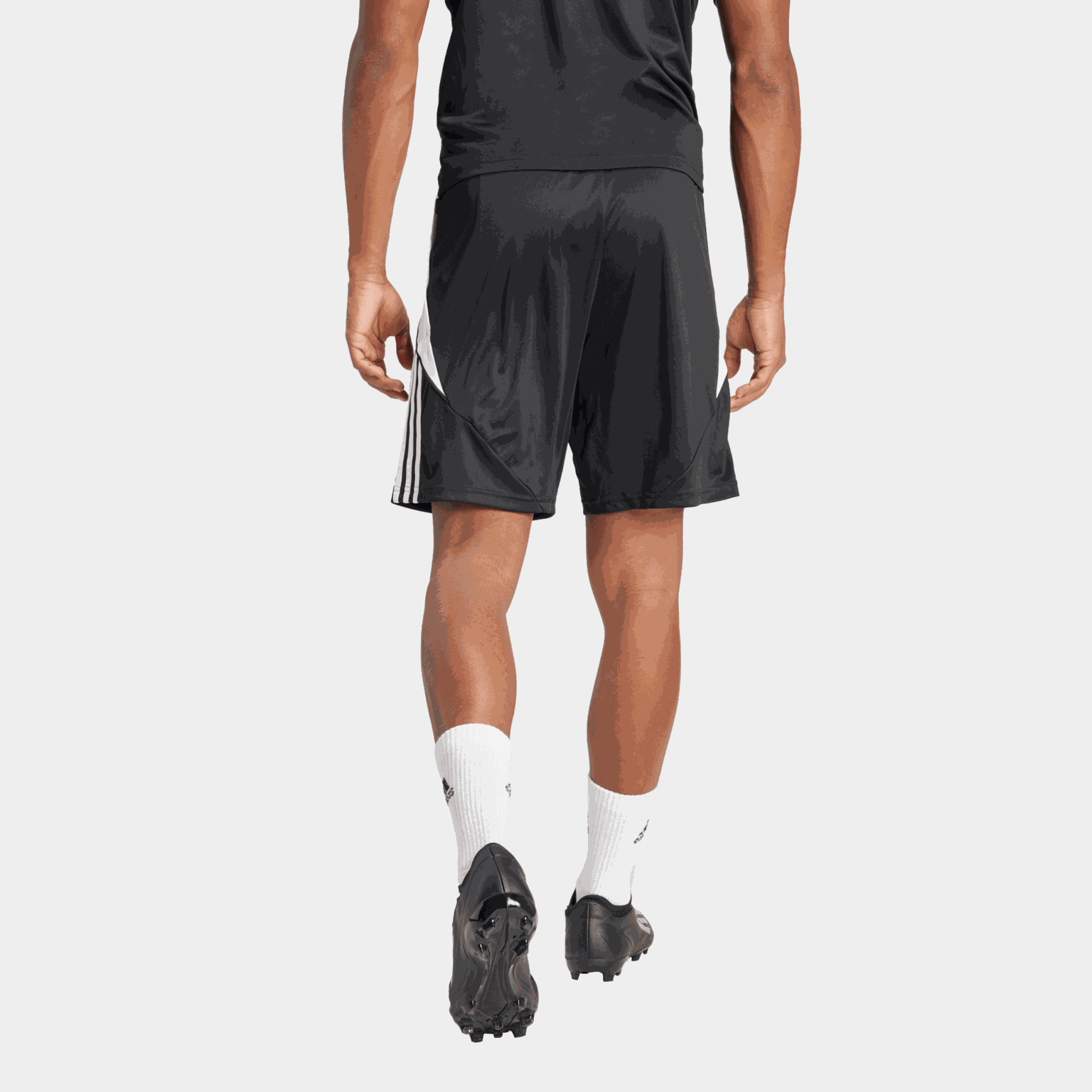 Tiro 24 Training Shorts, treningsshorts, herre - full image 2