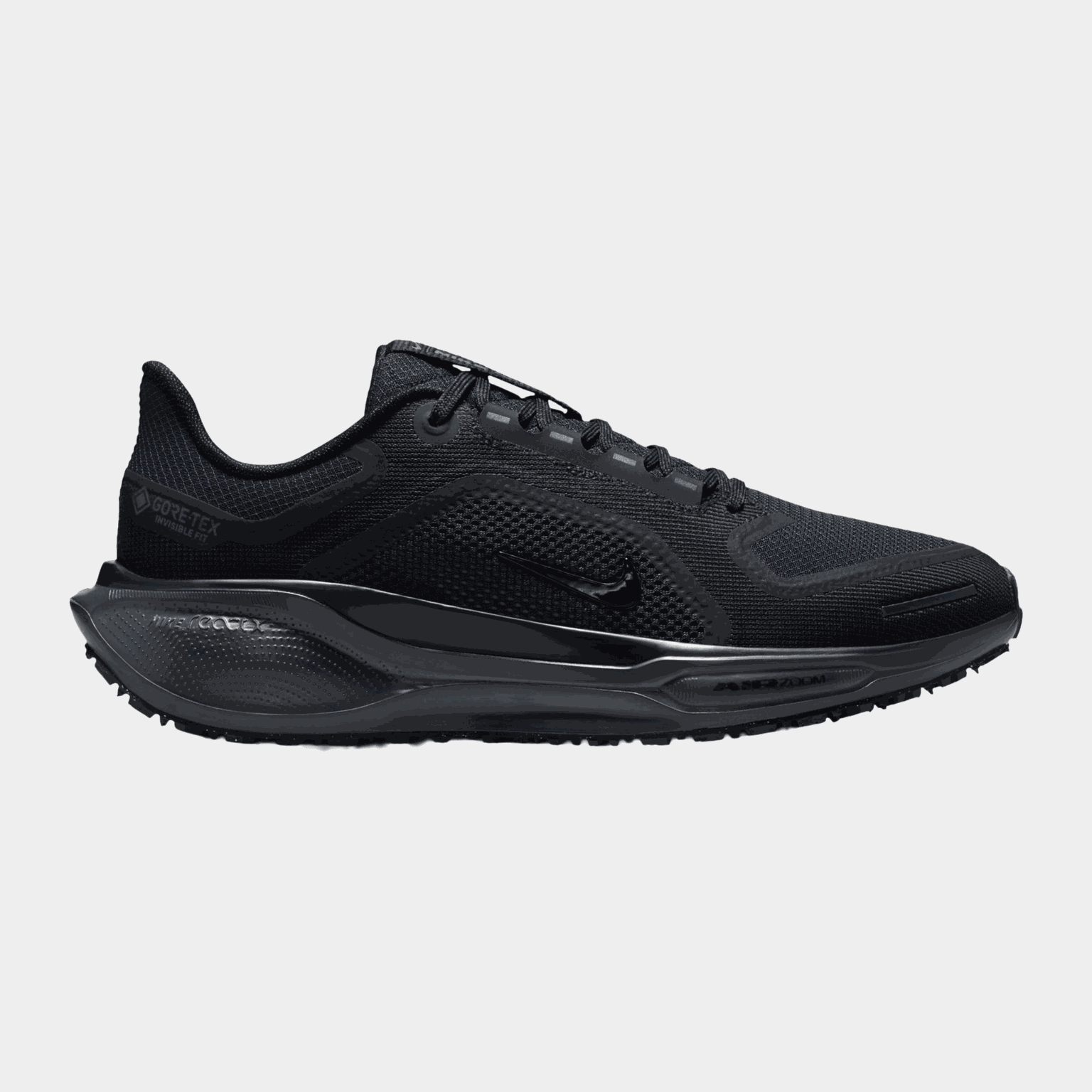 Air Zoom Pegasus 41 Gore-Tex, løpesko, dame - full image 1