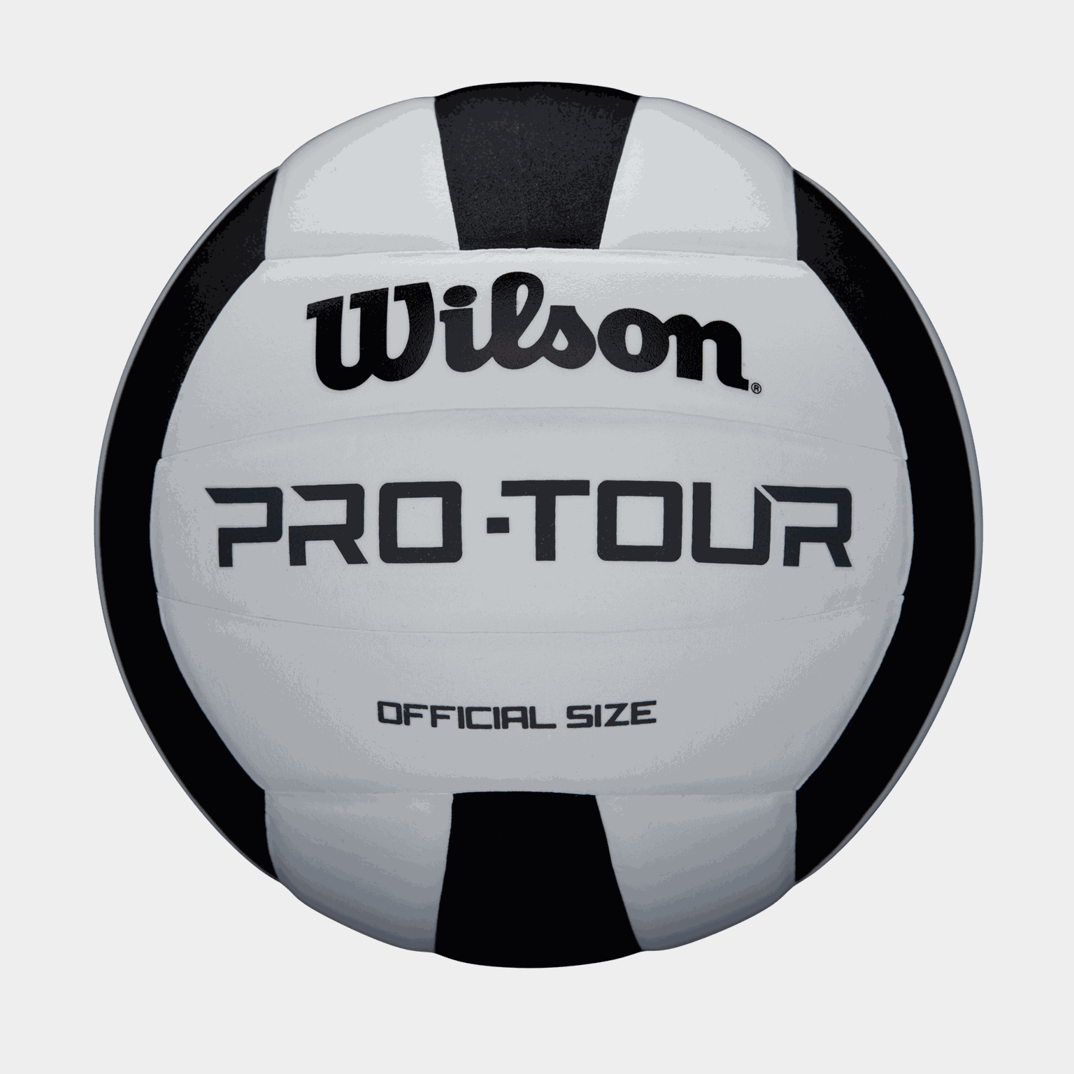 Pro Tour, volleyball - full image 1