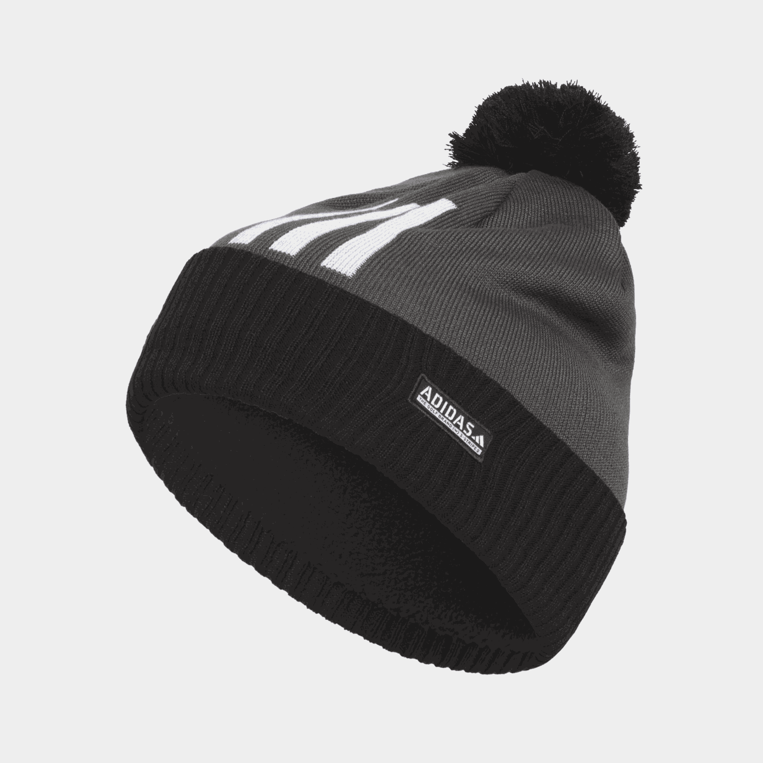 Pom 3S Beanie, lue - full image 1