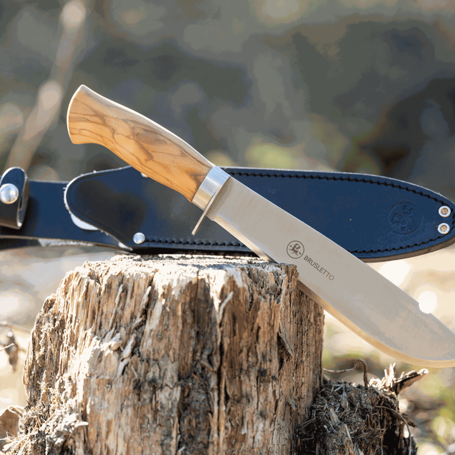 Villmarka Large, turkniv - full image 2