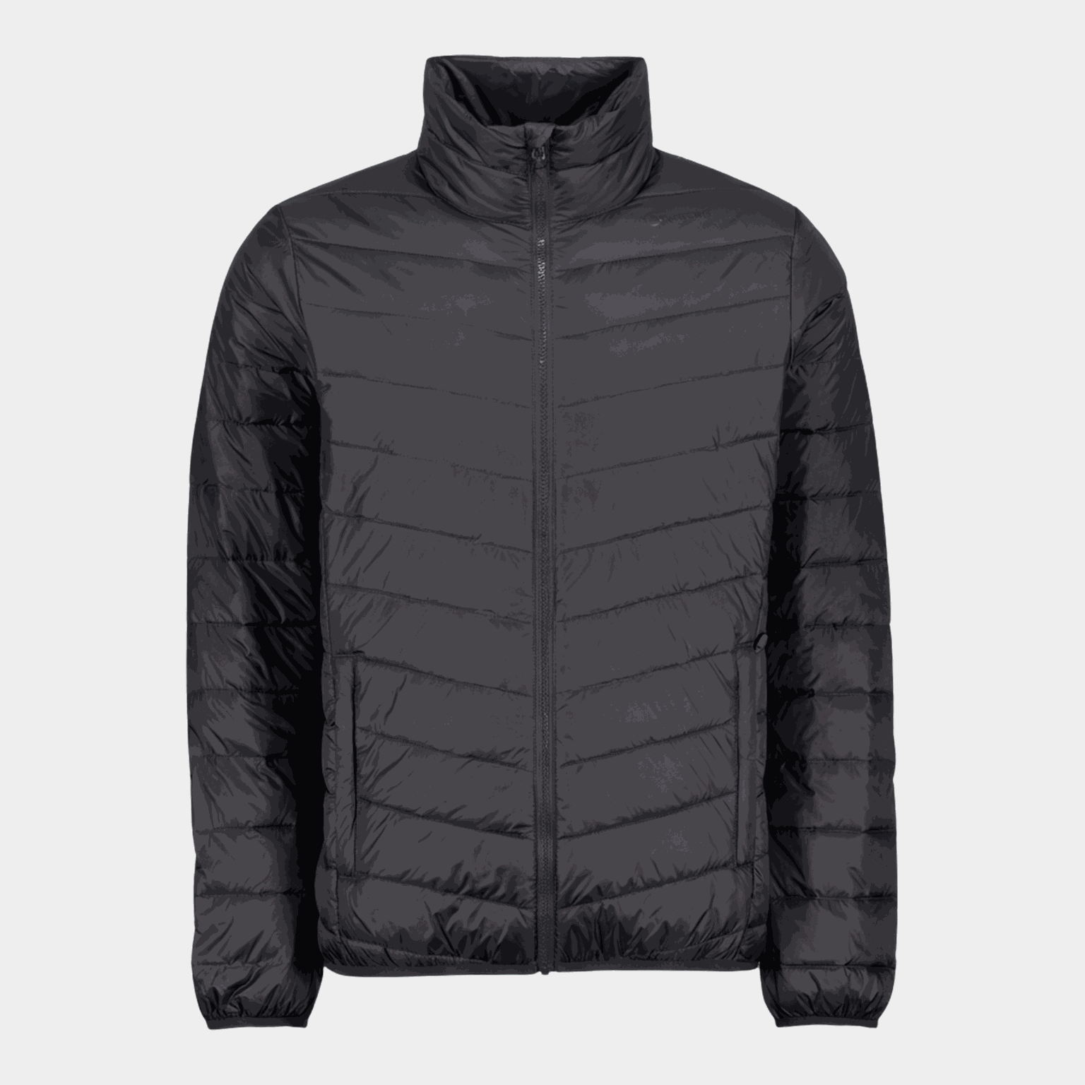 Skanse Rec Down Jacket, dunjakke, herre - full image 1
