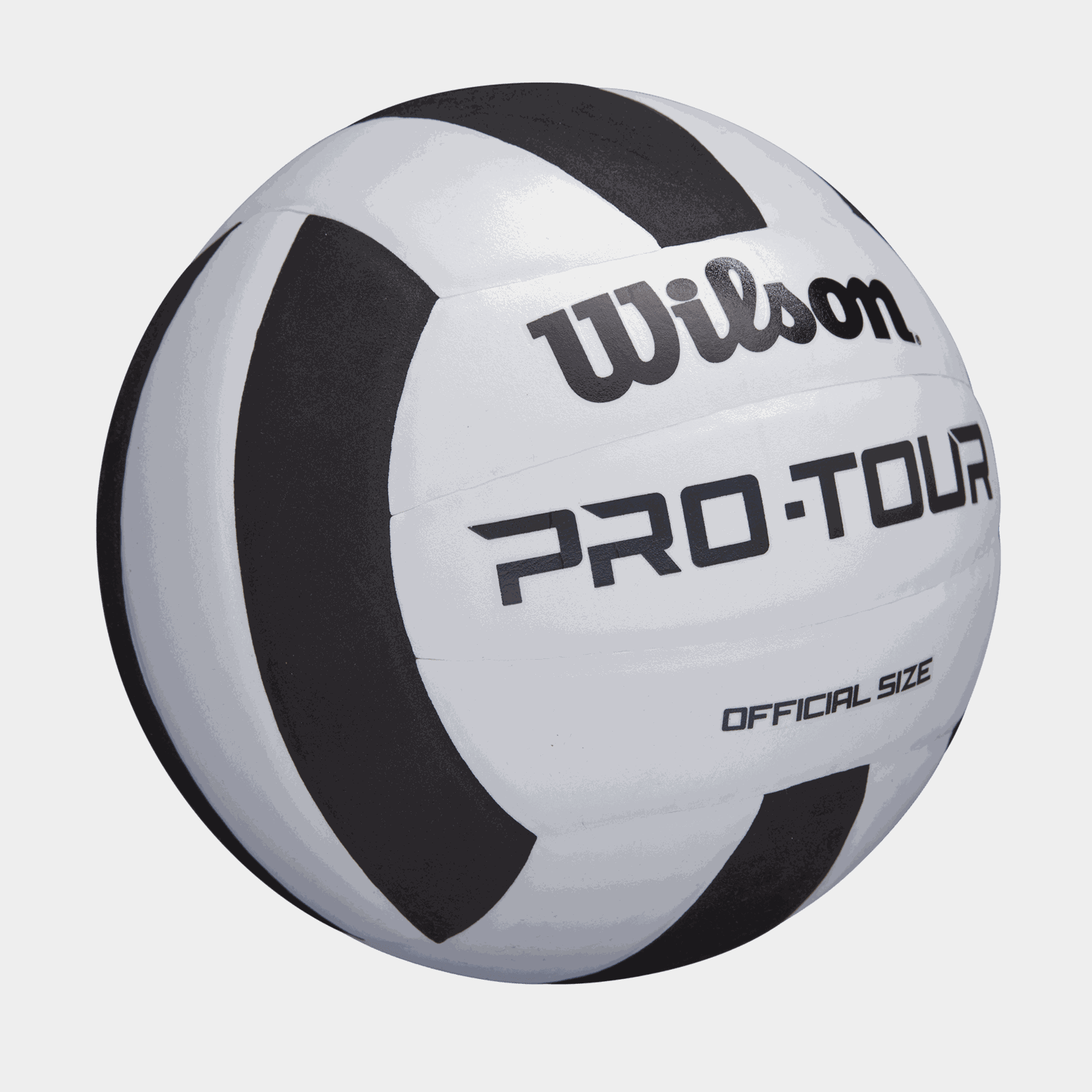 Pro Tour, volleyball - full image 2
