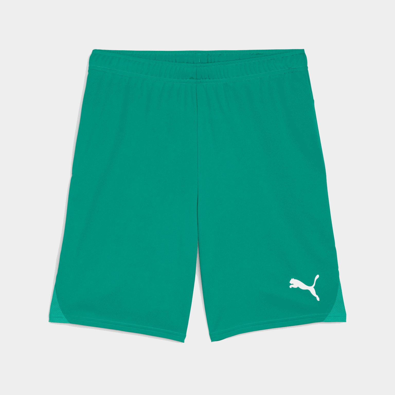 teamGOAL Shorts, treningsshorts, herre - full image 1