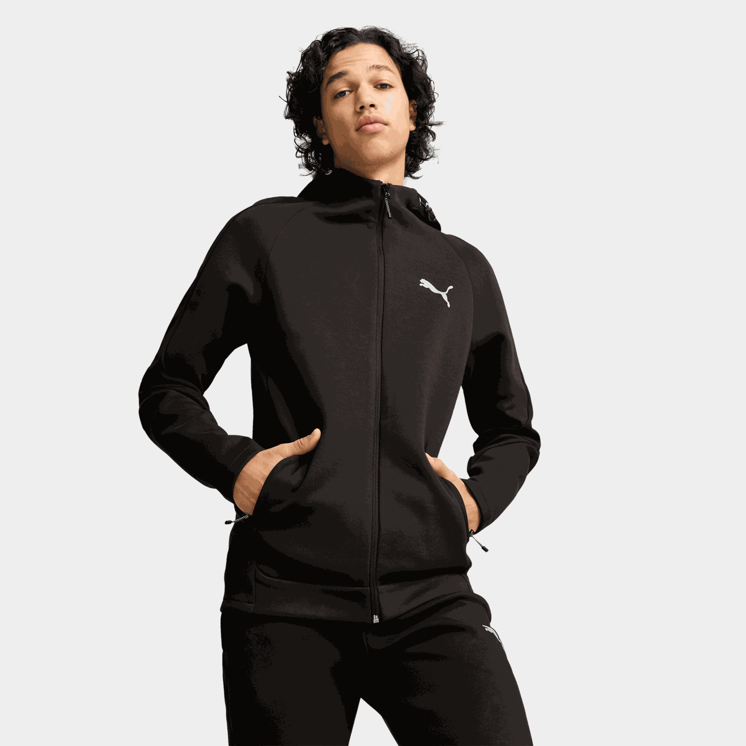 Evostripe Full-Zip Hoodie DK, hettejakke, herre - full image 1