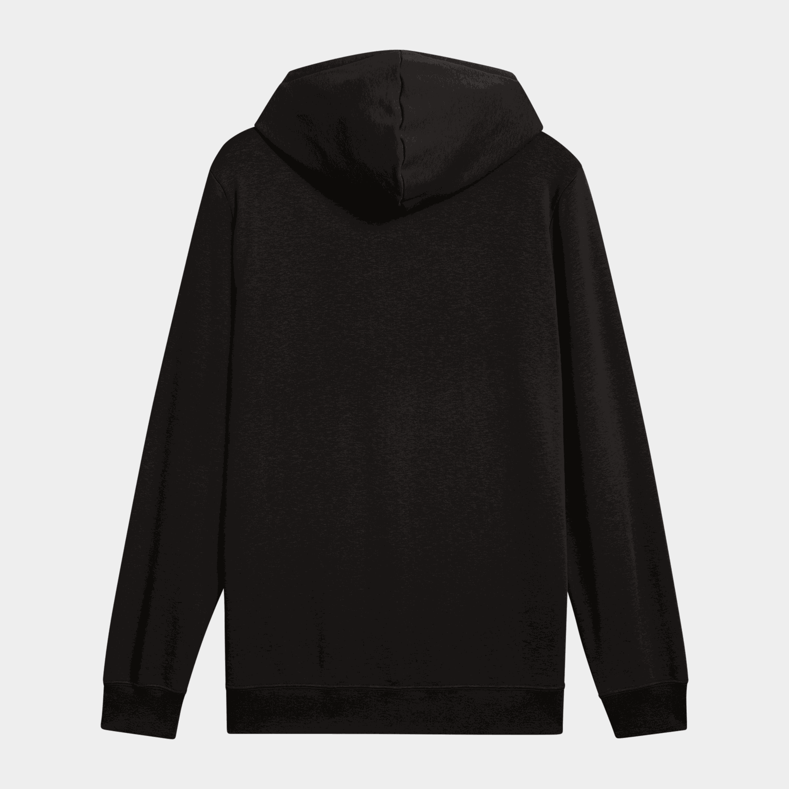 ESS 2 COLOR Small No. 1 Logo Hoodie TR, hettegenser, herre - full image 4