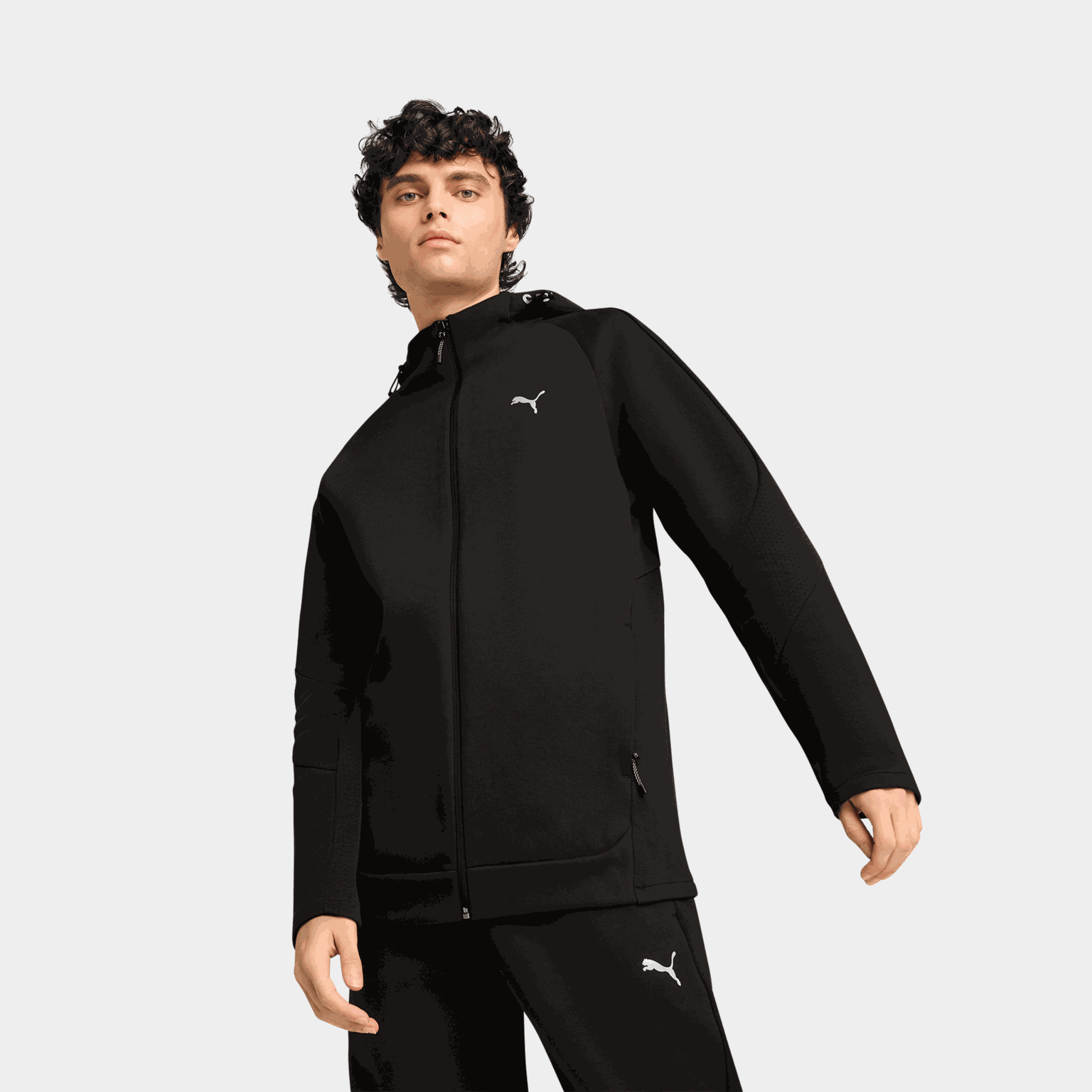 Evostripe Full-Zip Hoodie DK, hettejakke, herre - full image 1