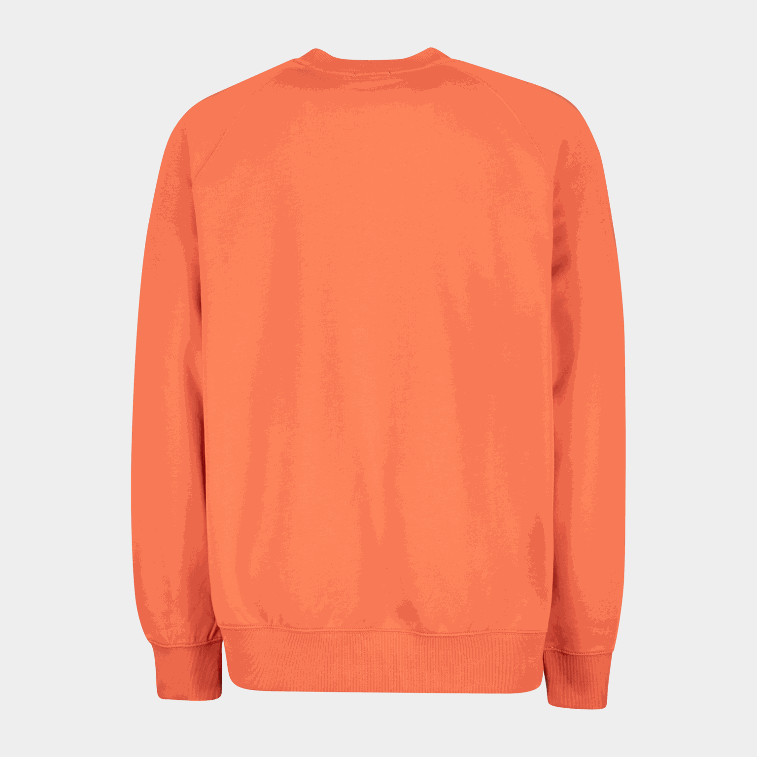 Tfo Logo Sweatshirt - full image 2