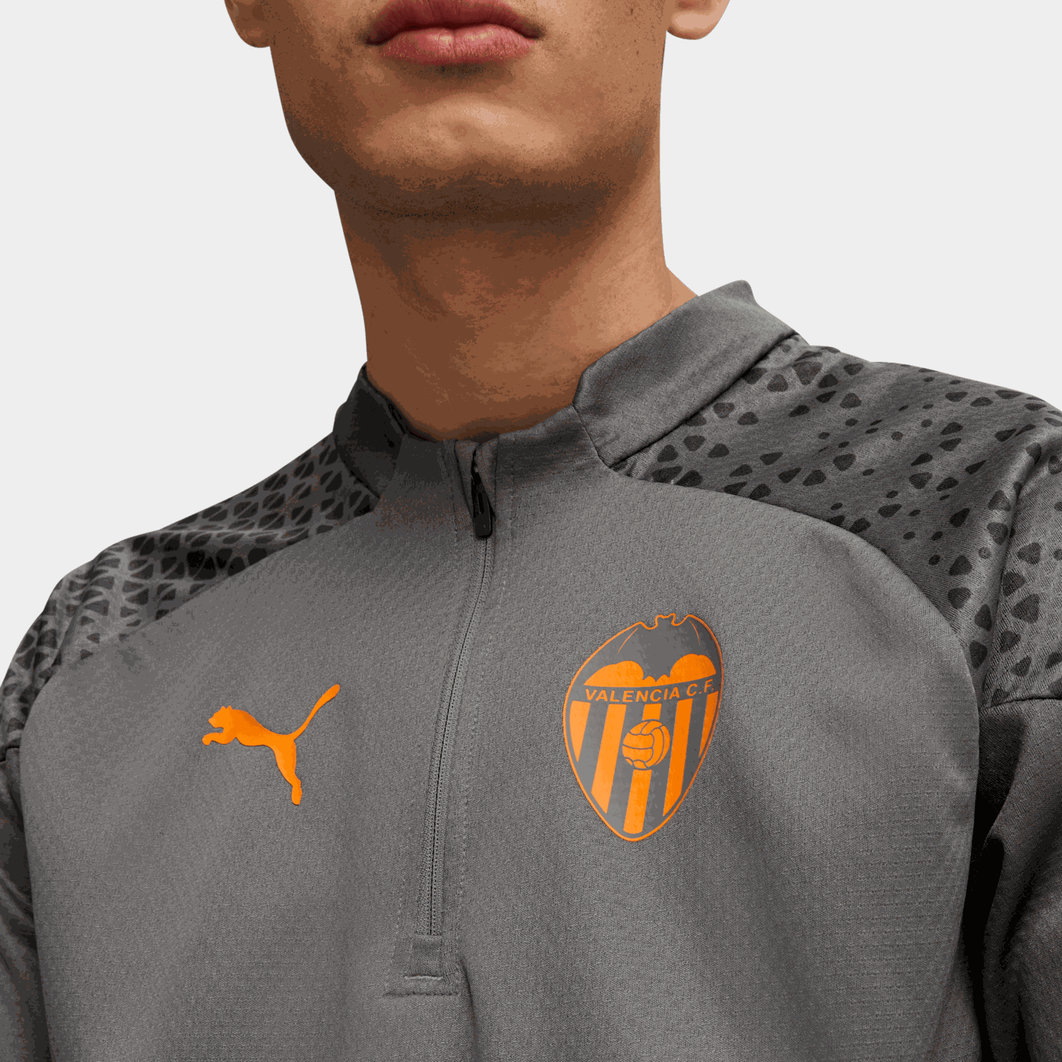 VCF Training 1/ - full image 2