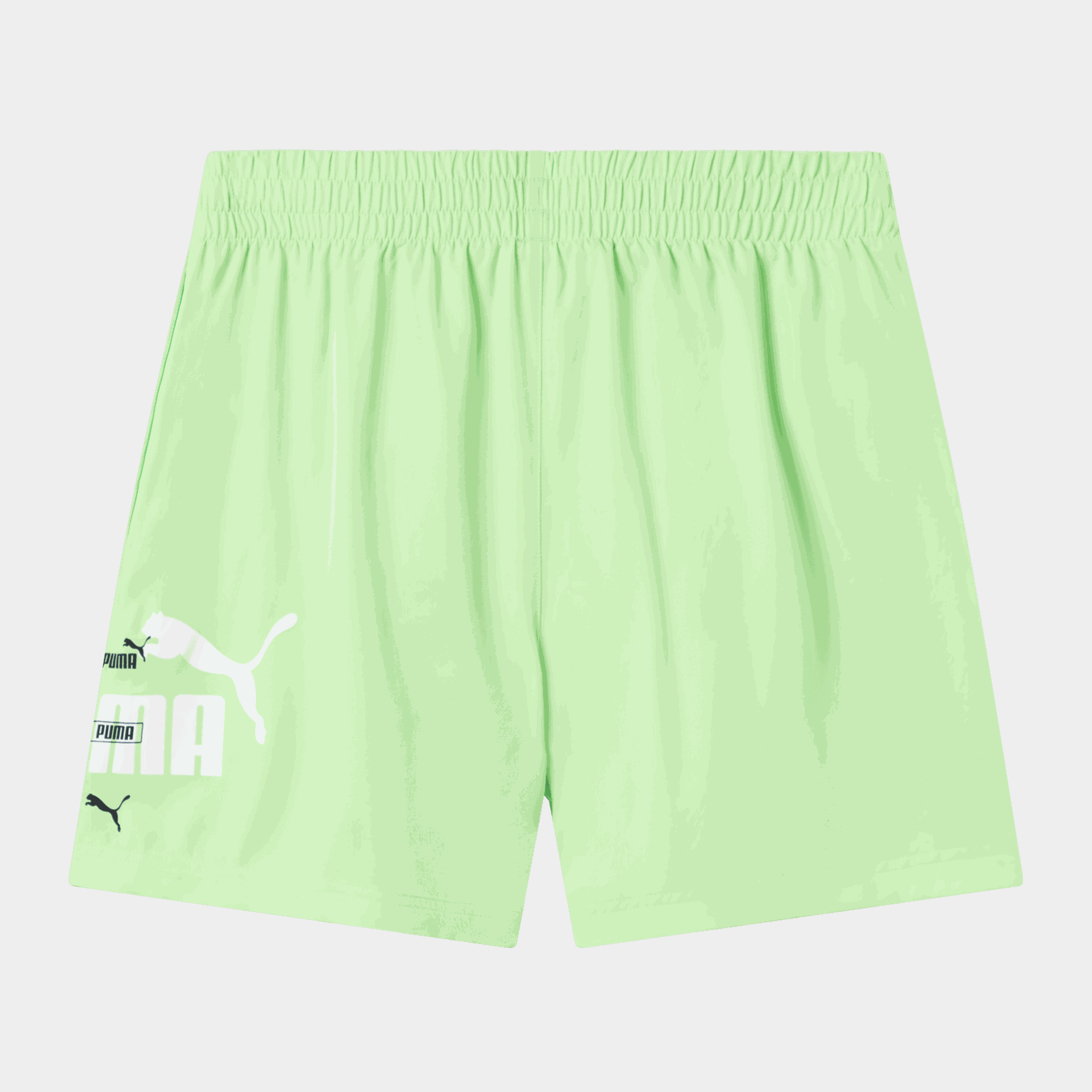 ESS LOGO LAB Woven Shorts 5, fritidsshorts, herre - full image 2