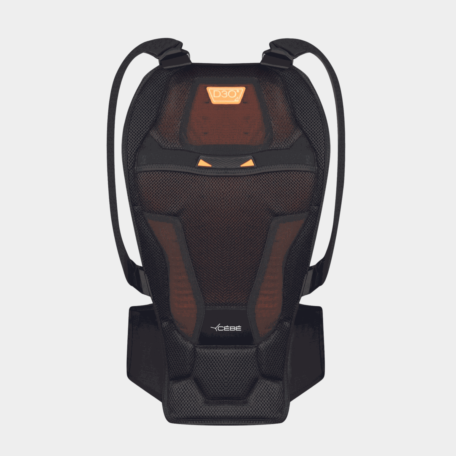 Back Protector VIPER D30 25/26, ryggbeskytter - full image 1