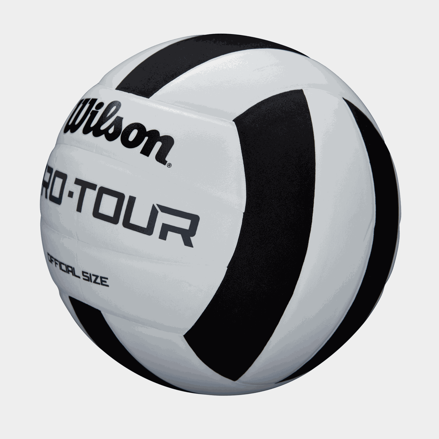 Pro Tour, volleyball - full image 3